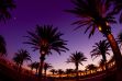 Continuing Legal Education - Wine, Beer & Spirits Law SuperConference